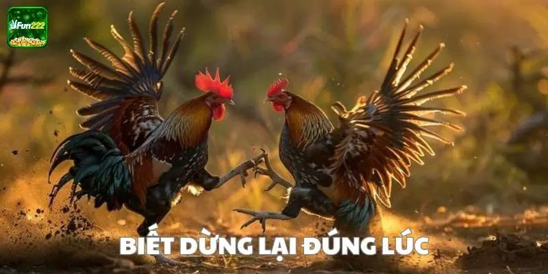 Biết dừng lại đúng lúc là một lựa chọn khôn ngoan