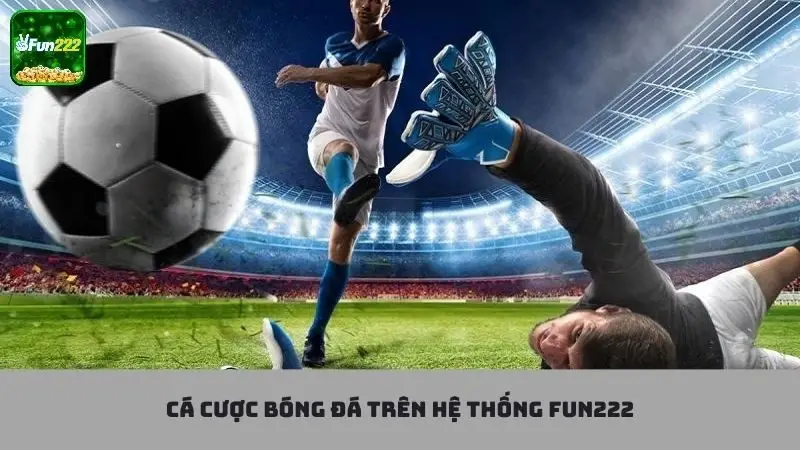 cá cược bóng đá