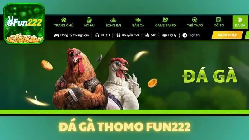 Đá gà thomo Fun222