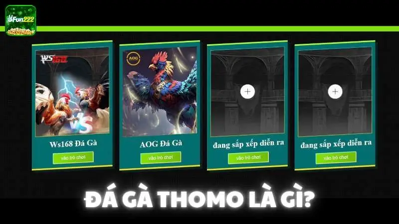 Đá gà thomo là gì?
