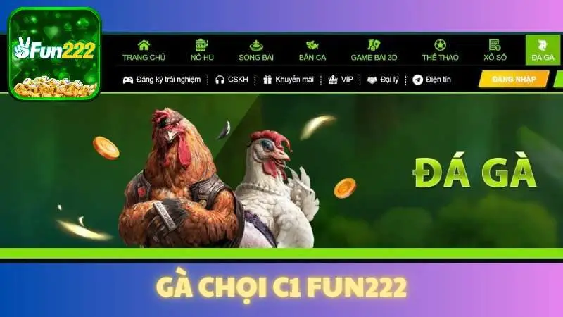 Gà chọi C1 Fun222